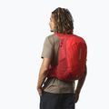 Salomon Trailblazer 20 l Wanderrucksack dahlia/hohes Risiko rot 3