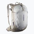 Salomon Trailblazer 30 l khaki/gletschergrau Wanderrucksack