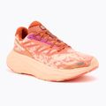 Salomon Aero Glide 2 Damen Laufschuhe spice route/peach quartz/fresh salmon