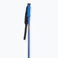 Skistöcke Salomon Polar Pro race blue 2