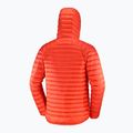 Männer Salomon Elixir Micro Down Jacket Hd Kirsche Tomate 4