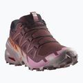 Damen-Laufschuhe Salomon Speedcross 6 catawba grape/papaya/deauville mauve 8