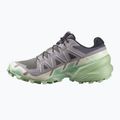 Laufschuhe Damen Salomon Speedcross 6 castlerock/vanilla ice/smoke green 9