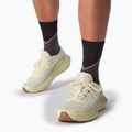 Laufschuhe Herren Salomon Thundercross asphalt/sharkskin/spray 11