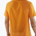 Shirt Herren Salomon Outline Tee turmeric 3