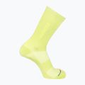 Socken Salomon 365 Crew dark citron