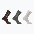 Socken Salomon Everyday Crew 3 Paar silver cloud/sedona sage