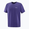 Shirt Herren Salomon Logo RX Tee astral 4