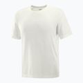 Laufshirt Herren Salomon SHAKEout Core icicle 4