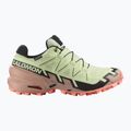 Damen-Laufschuhe Salomon Speedcross 6 GTX lime cream/mahogany rose/schwarz 2