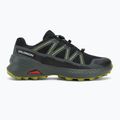 Herren-Laufschuhe Salomon Speedcross Peak GTX schwarz/urban chic/dark citron 2
