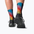 Herren-Laufschuhe Salomon Alphaglide GTX schwarz/teer/schwarz 14