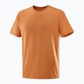 Shirt Herren Salomon Big Logo Tee sierra 4
