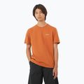 Shirt Herren Salomon Logo Tee sierra