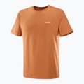 Shirt Herren Salomon Logo Tee sierra 4