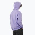 Hoodie Sweatshirt Herren Salomon Logo Hoodie violet tulip 2