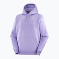 Hoodie Sweatshirt Herren Salomon Logo Hoodie violet tulip 3