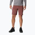 Columbia Titan Pass Herren-Trekking-Shorts braun 1886441640