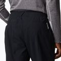 Columbia Titan Herren-Trekkinghose schwarz 2034831 5