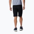 Columbia Triple Canyon II Herren-Trekking-Shorts schwarz 2030801010 2