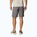 Columbia Silver Ridge Utility Cargo grau Herren-Trekking-Shorts 2030744023 2