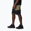 Columbia Summerdry Belted grün Herren-Trekking-Shorts 2030843397 3
