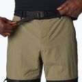 Columbia Summerdry Belted grün Herren-Trekking-Shorts 2030843397 4