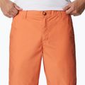 Columbia Washed Out Herren-Trekking-Shorts orange 1491953849 4