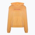 Columbia Damen Logo III French Terry Trekking Sweatshirt orange 2032871812 5