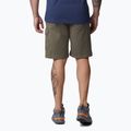 Columbia Pacific Ridge Belted grün Herren-Trekking-Shorts 2030951397 2