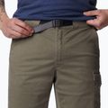 Columbia Pacific Ridge Belted grün Herren-Trekking-Shorts 2030951397 4