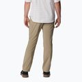 Columbia Silver Ridge Utility Herren-Trekkinghose braun 2012952221 2