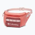 Columbia Zigzag Hip Pack Nierentasche verblasst Pfirsich/Beetroot