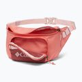 Columbia Zigzag Hip Pack Nierentasche verblasst Pfirsich/Beetroot 3