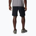 Herren-Trekking-Shorts Columbia Silver Ridge Utility black 2