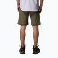 Herren-Trekking-Shorts Columbia Silver Ridge Utility stone green 3