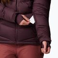 Skijacke Damen Columbia Abbott Peak II Ins moonvista/pink agave 6