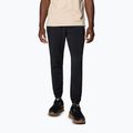 Trekkinghose Herren Columbia Hike Jogger II black