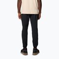 Trekkinghose Herren Columbia Hike Jogger II black 2