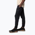 Trekkinghose Herren Columbia Hike Jogger II black 3