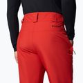 Skihose Herren Columbia Shafer Canyon II sail red 6