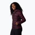 Columbia Damen Lake 22 II Down Hooded moonvista Daunenjacke 4