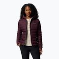 Columbia Damen Lake 22 II Down Hooded moonvista Daunenjacke 6