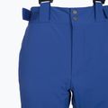 Skihose Herren Columbia Cirque Bowl mountain blue 12