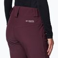 Skihose Damen Columbia Roffee Ridge VI moonvista 5