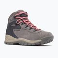 Damen-Trekkingschuhe Columbia Newton Ridge Plus Wp Amped Stratus/Canyon Rose 8