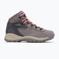 Damen-Trekkingschuhe Columbia Newton Ridge Plus Wp Amped Stratus/Canyon Rose 10