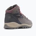 Damen-Trekkingschuhe Columbia Newton Ridge Plus Wp Amped Stratus/Canyon Rose 12
