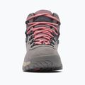 Damen-Trekkingschuhe Columbia Newton Ridge Plus Wp Amped Stratus/Canyon Rose 13