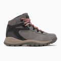 Damen-Trekkingschuhe Columbia Newton Ridge Plus Wp Amped Stratus/Canyon Rose 2